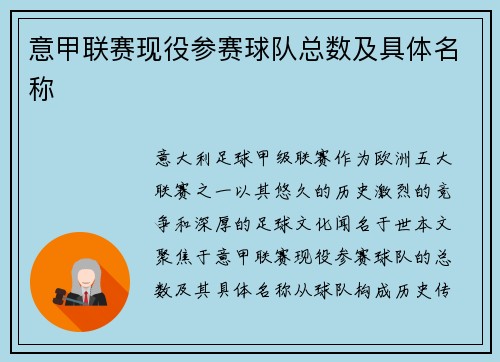 意甲联赛现役参赛球队总数及具体名称