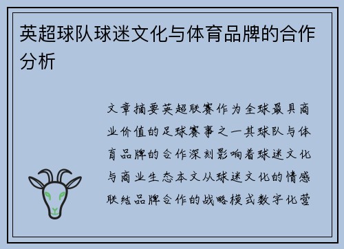 英超球队球迷文化与体育品牌的合作分析